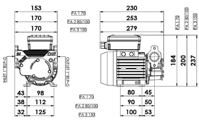 Насос для ДТ 220 вольт PA3 150, Италия