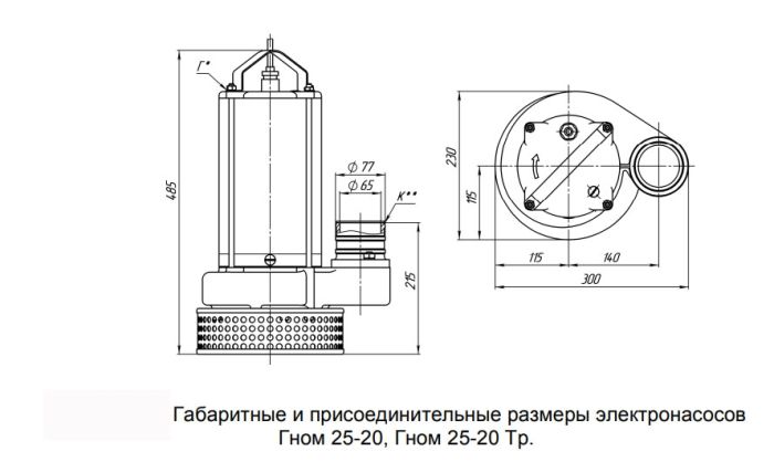 Дренажный насос Ливгидромаш Гном 25-20 Тр (Ливны)