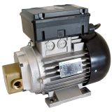 Насос для масла 220в Gespasa EA 88 0.74 kW