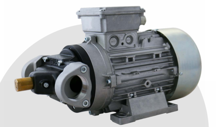 Насос электрический шестеренчатый для масла 220В 65 л/м Piusi F00334800