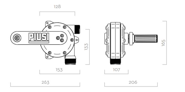 Насос ручной роторный бочковой для AdBlue, антифриза, воды, 38 л/м, Piusi Hand pump urea 2” BSP w/hose F00332A5A, рукав 2.5 м